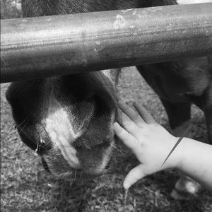 Meet your Posher, Tracy